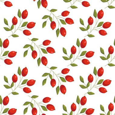 Tasarım ve tekstil için beyaz arka planda gül kalçalı kusursuz desen. Vektör İllüstrasyonu.