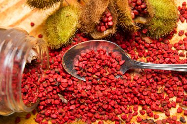 Annatto tohumu kırmızı portakal sosu ve fındık ağacından elde edilen gıda boyası. Bixa orellana, yiyeceğe renk, tat ve aroma sağlamak için kullanılır..