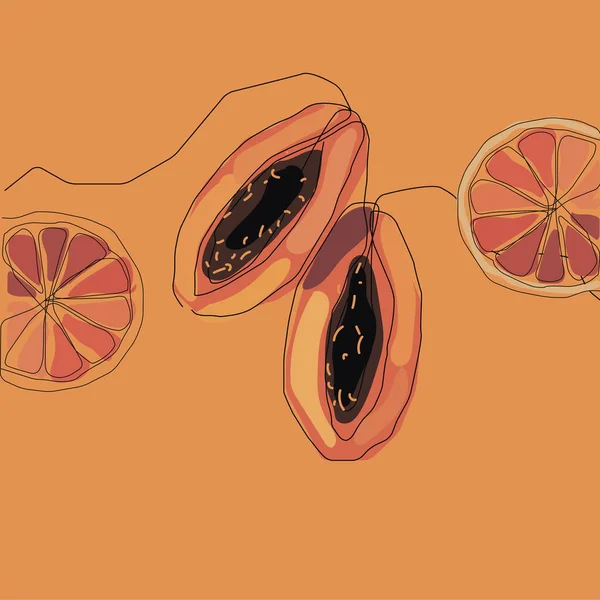 Wektor Grejpfrut Papaja Szablon Jest Izolowany Jasnym Pomarańczowym Tle Ilustracja — Zdjęcie stockowe