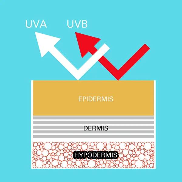 Ochrana Vektor Porovnání Kůže Chránit Oba Uva Uvb — Stockový vektor