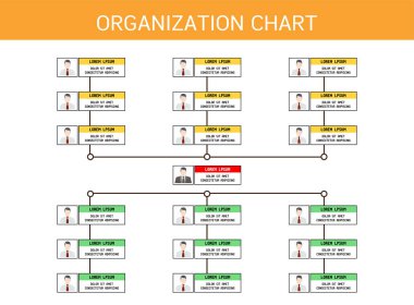 Organizasyon Çizelgesi Bilgi grafikleri, vektör tasarımı