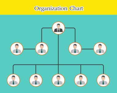Organizasyon Çizelgesi Bilgi grafikleri, vektör tasarımı