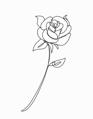 Gül Çiçeği, çizgi çizim tarzı, sanat tasarımı