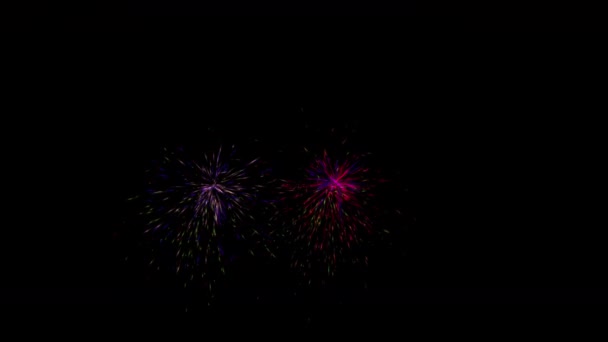 Full Color Firework Motion Random Pop Graphic Style Rendering Include — Stock Video
