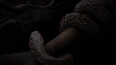 Kral kobra yılan bobini büyük ağaç arkası görünümü 4K çözünürlüğü 3D görüntüleme ile.