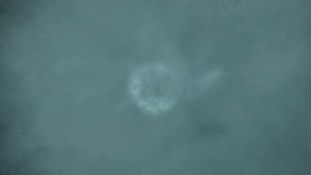 Nebula Mokry Chmura Efekt Ruchu Niebieskim Niebie Renderowania — Wideo stockowe