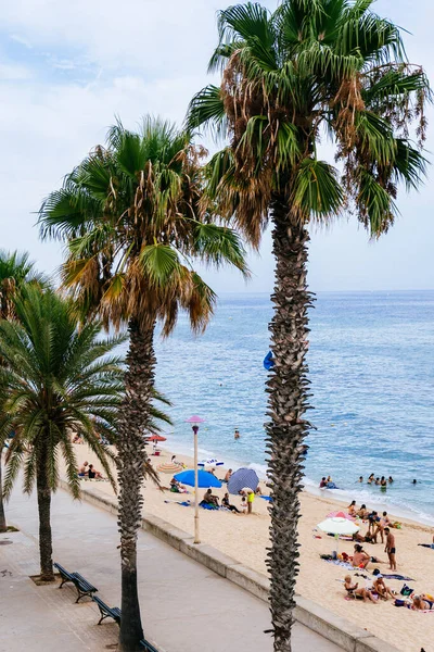 Badalona Hiszpania Sierpnia 2020 Plaża Badalona Promenada Palmami — Zdjęcie stockowe