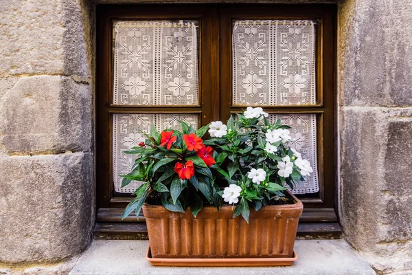 Staré Dřevěné Okno Záclonami Rostlinami — Stock fotografie