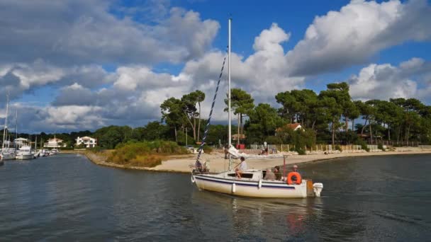 Taussat Gironde Nouvelle Aquitania Francia — Vídeo de stock