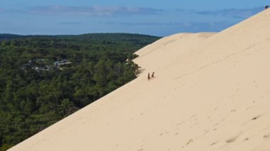 Dune du Pilat, Gironde, Yeni Aquitaine, Fransa. Kum tepesinin dibinde Landes Ormanı var..