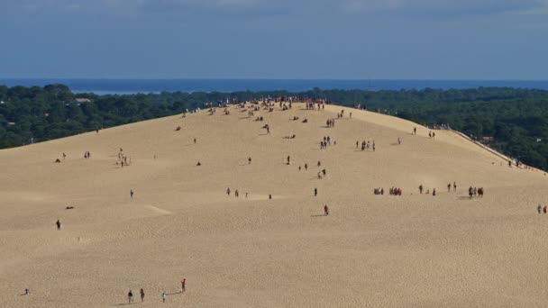 Dune Pilat Gironde Nouvelle Aquitaine Perancis — Stok Video