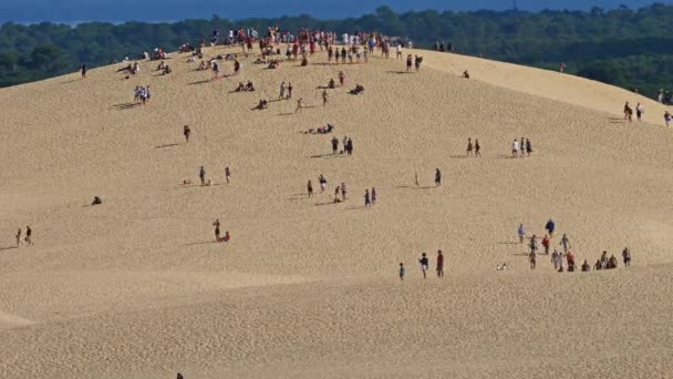 Dune Pilat Gironde Nouvelle Aquitania Francia — Vídeos de Stock