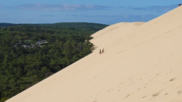 Dune Pilat Gironde Nouvelle Aquitania Francia Parte Inferior Duna Bosque — Vídeo de stock
