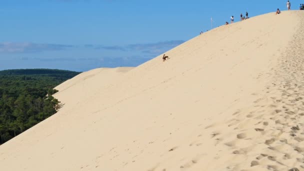 Dune Pilat Gironde Nouvelle Aquitaine Frankreich Fuße Der Düne Liegt — Stockvideo