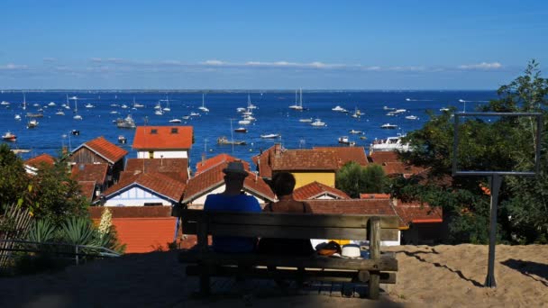 Herbe Gironde Nouvelle Aquitaine France Herbe Traditional Oyster Village Arcahon — Stock Video