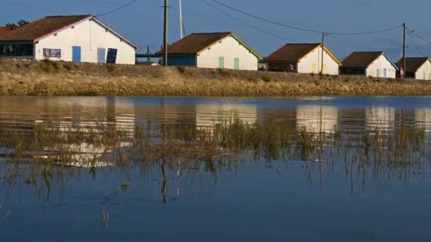 Ares Gironde Nouvelle Akwitania Francja Domy Rybackie Zatoce Arcachon — Wideo stockowe