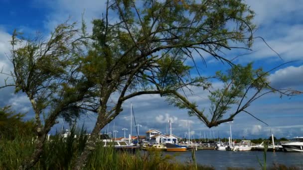 Audenge Gironde Nouvelle Aquitania Francia — Vídeos de Stock