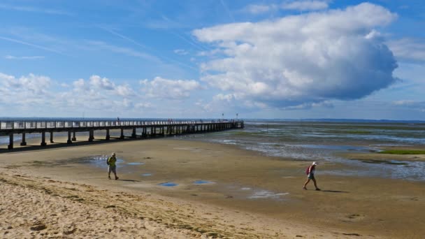 Andernos Les Bains Gironde Arcachon Körfezi Fransa Andernos Les Bains — Stok video