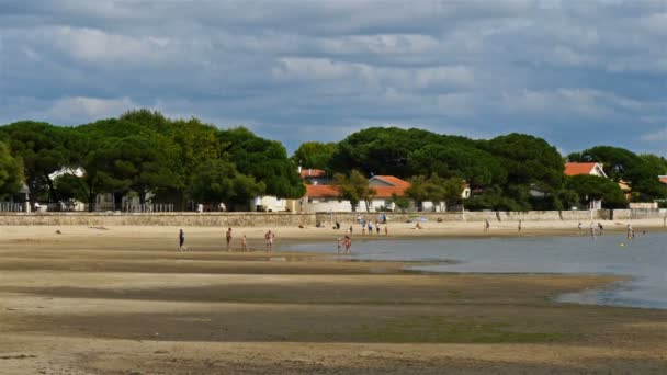 Andernos Les Bains Gironda Bahía Arcachon Francia — Vídeo de stock