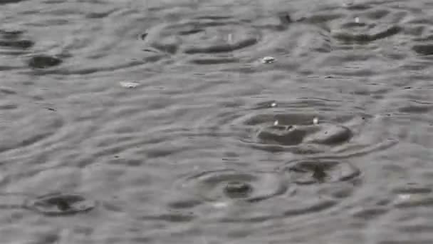 Chuva Durante Uma Tempestade — Vídeo de Stock