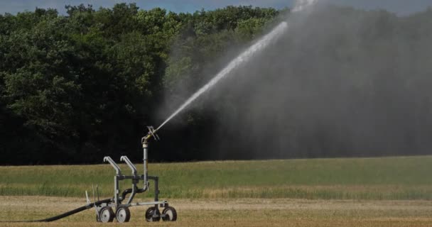Vattenspridarsystem Bevattningsfält Loiret Frankrike — Stockvideo