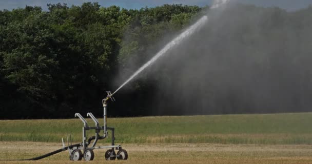 Sistema Aspersão Campo Irrigação Loiret França — Vídeo de Stock