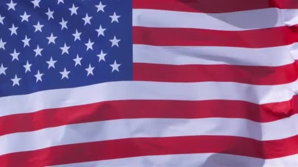 Narodowa Flaga Usa Macha Wietrze — Wideo stockowe