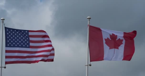 Die Nationalflaggen Der Usa Und Kanadas Wehen Wind — Stockvideo