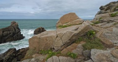 Cote Sauvage, Quiberon yarımadası, Morbihan, Brittany, Fransa. Ön planda bir Crithmum (Crithmum maritimum))
