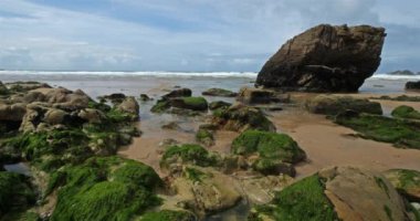 Cote Sauvage, Quiberon yarımadası, Morbihan, Brittany, Fransa. Ön planda alçak gelgit sırasında yeşil algler var.