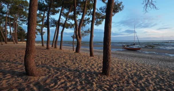 Ares Gironde Yeni Aquitaine Fransa Arcachon Bassin Deki Saint Brice — Stok video