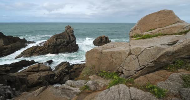 Cote Sauvage Quiberon Peninsula Morbihan Brittany France Передньому Плані Крит — стокове відео