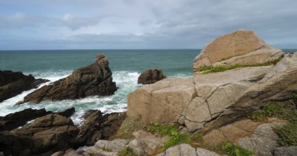 Cote Sauvage Quiberon Peninsula Morbihan Brittany France Foreground Crithmum Crithmum — Stock Video