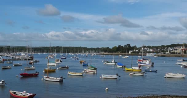 Combrit Harbour Finistere Brittany France Foreground Traditional Harbour Combrit Background — Stock Video