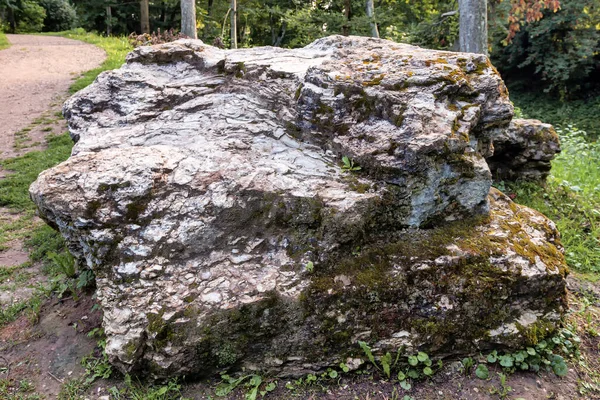 Birzu District Litouws Regionaal Park Juli 2019 — Stockfoto