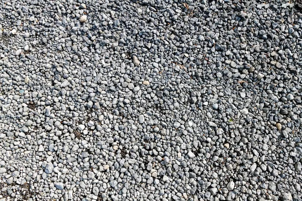 Graue Kieselsteine Verschiedenen Größen Auf Der Oberfläche Geglättet — Stockfoto