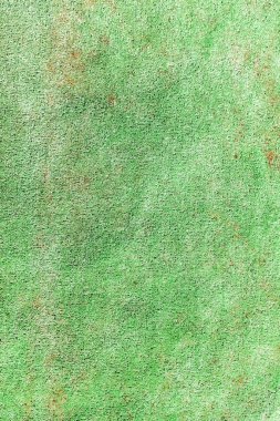 Yerde taşla yosun dokusu var.