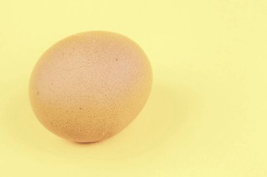 Sarımsı arkaplan üzerinde bir yumurta ve metin için boşluk