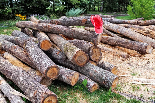 A bunch of felled trees — Stock Photo, Image