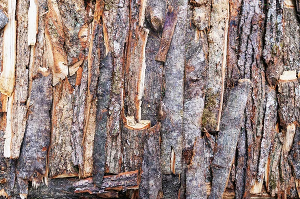 Fundo Vários Pedaços Casca Árvore — Fotografia de Stock