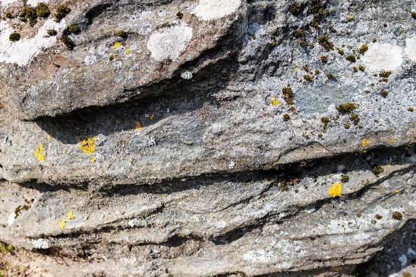 Feldstein Mit Großen Schluchten Textur Mit Moos — Stockfoto