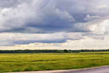 Parlak yeşil çimenler geniş bir alana yayılır, kırsal bir yol ile sınırlıdır. Tepemizde kara bulutlar belirdi. Ağaçlar ufukta belirdikçe hava değişimine işaret ediyor..