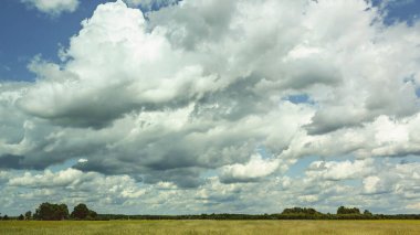 Çeşitli şekil ve büyüklükteki bulutlar, güneşli bir öğleden sonra rüzgarda yabani otların hafifçe sallandığı geniş bir tarlanın üzerindeki gökyüzüne hakim olur. Ağaçlar ufukta belirdi..