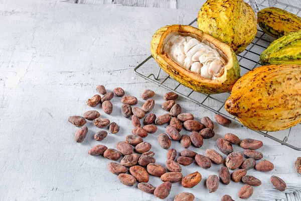 Cacao Fresco Con Vainas Cacao Granos Cacao Sobre Fondo Blanco —  Fotos de Stock