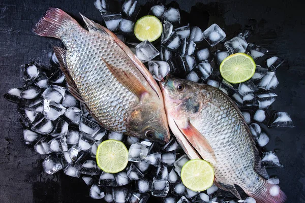 Buzlu taze tilapia balığı ve limon ezmesi..