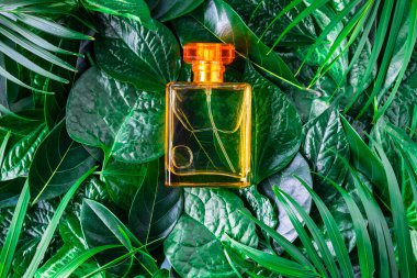 Yapraklı arka planda bir şişe parfüm ve doğal parfüm..