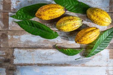 Tahta arka planda kakao meyvesi