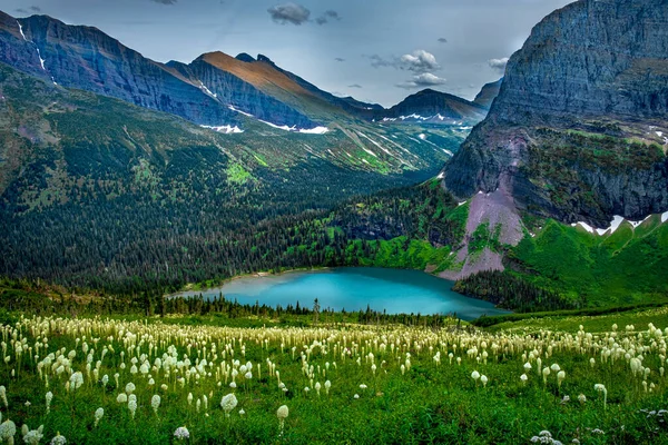 2631 Smaragdgrüner Grinnell Lake Umgeben Von Wildblumen Während Sich Glacier — Stockfoto