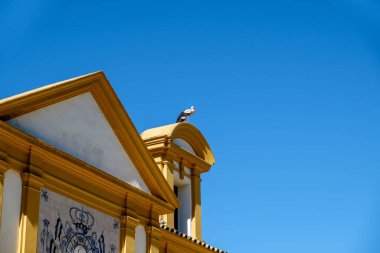 Enganche Müzesi leylek yuvası - Jerez, İspanya