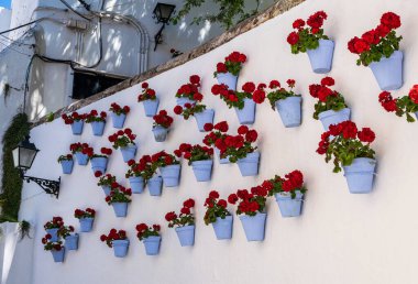 Eski Kasabanın Çiçek Duvarı - Marbella, İspanya